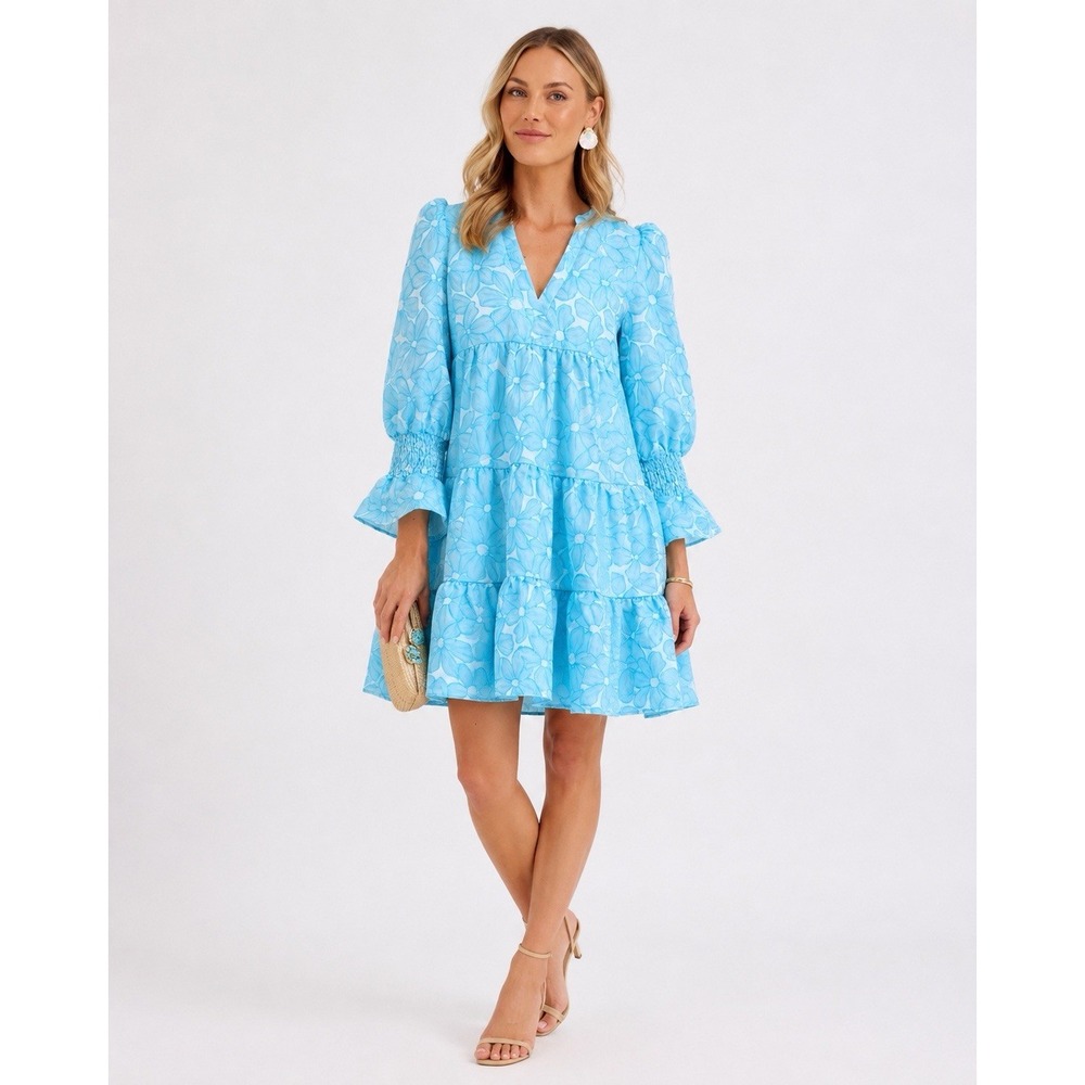 Tuckernuck Pomander Place Kenzo Dress Size XS Blue Daisy Jacquard Tiered